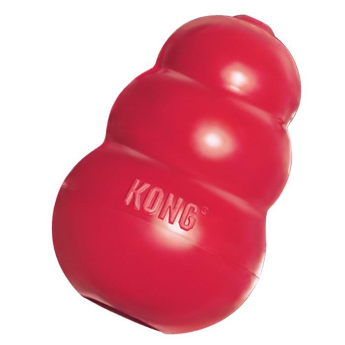 kong snacks medium