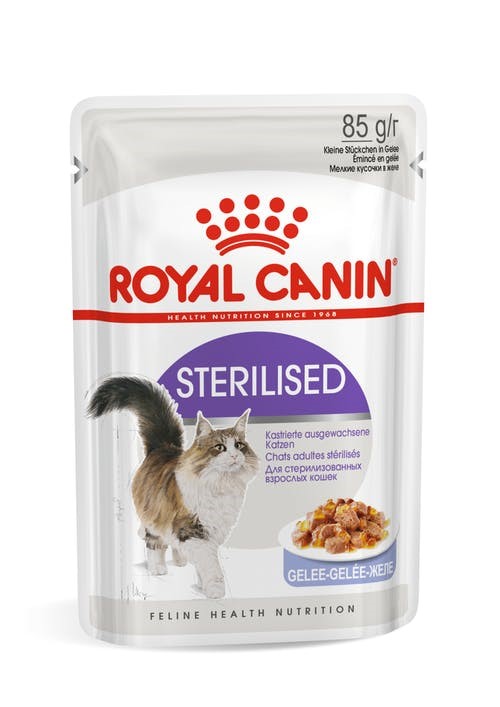 royal canin cat